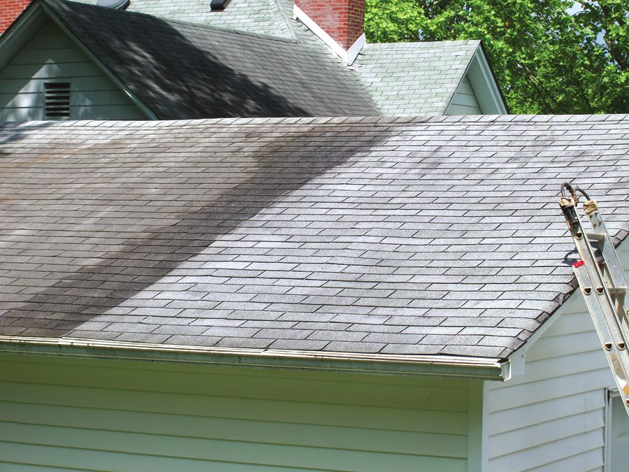 Asphalt shingle roof showing a clean section beside a dark algae-streaked section after SIMIX Cleaner